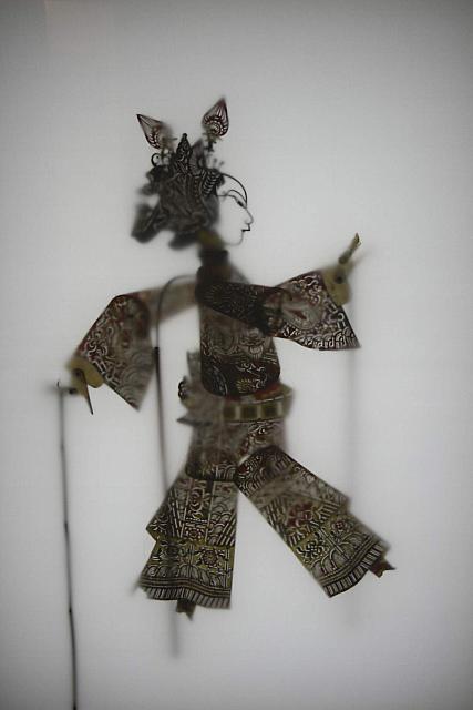 IMG 7552