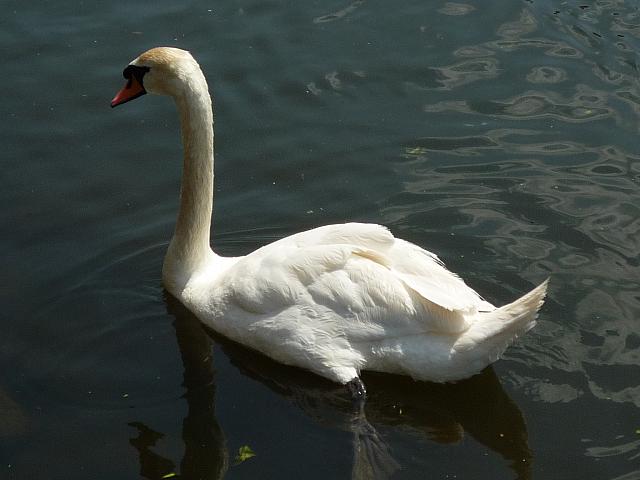 063