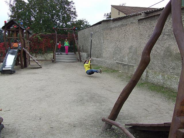 DSCF1896