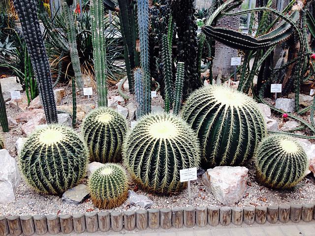 thumb IMG 0132 1024