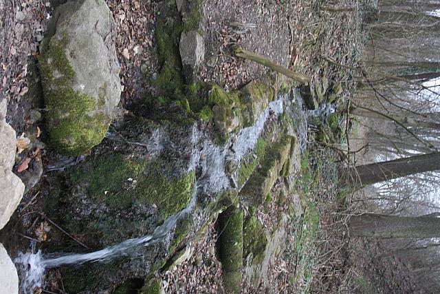 IMG 7975