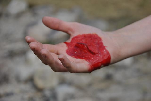 thumb DSC 1617 1024