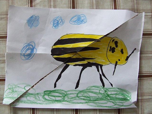 DSCF6740