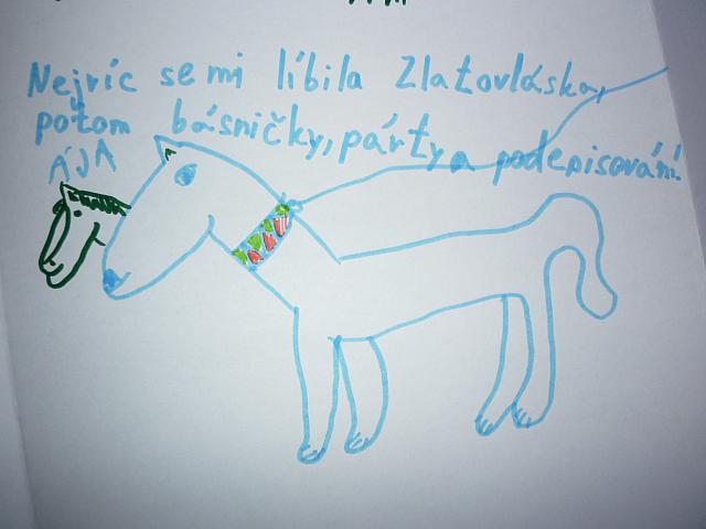 p1040040