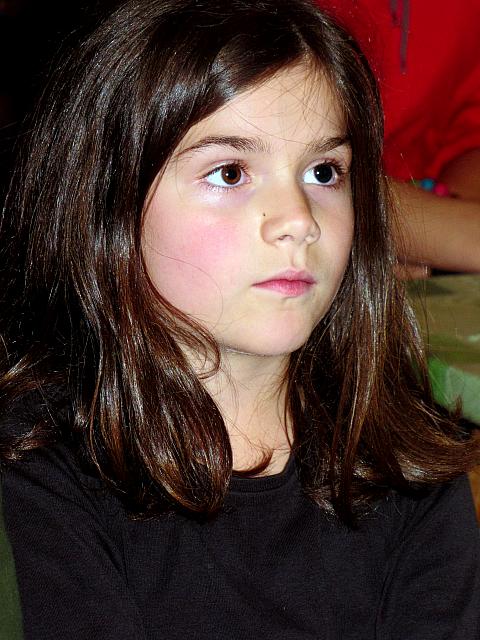 IMG 0782