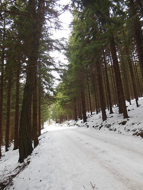 DSCN3654