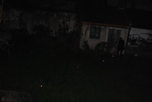 DSC 7730