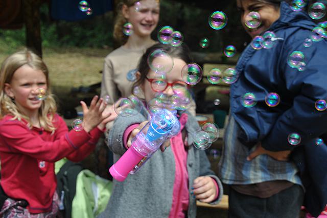 DSC 9959