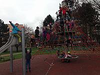 IMG 0100