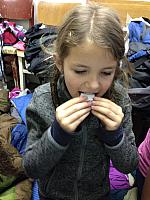 IMG 0127