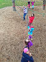 IMG 0176