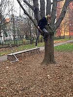 IMG 0183