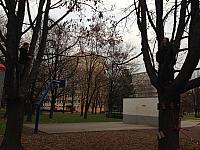 IMG 0191