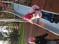 IMG 0270