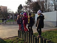IMG 0289