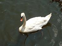 066