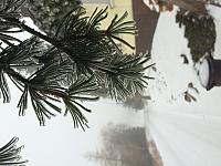 IMG 1882