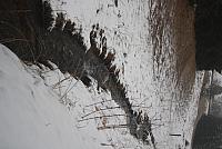 IMG 8501