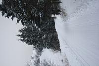 IMG 8536