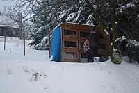 IMG 8542