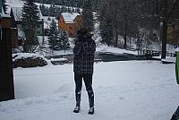 IMG 8543