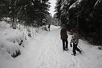 IMG 8550