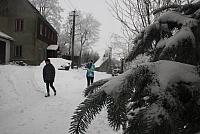 IMG 8564