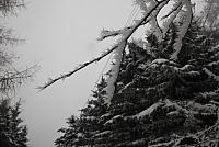 IMG 8566