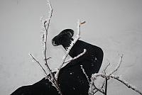 IMG 8580