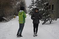 IMG 8582