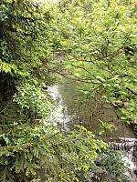 thumb IMG 1166 1024