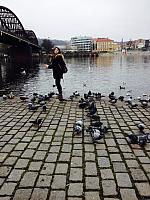 thumb IMG 0078 1024