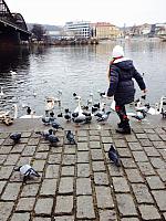 thumb IMG 0079 1024
