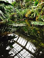 thumb IMG 0099 1024