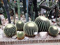thumb IMG 0132 1024