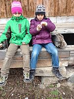 IMG 3078