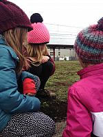 IMG 3088