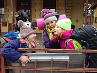 IMG 3100