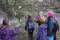 IMG 7956