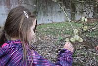 IMG 7957