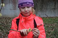 IMG 7959