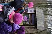IMG 7964