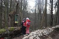 IMG 7990