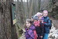 IMG 7993
