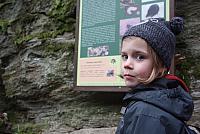 IMG 7995