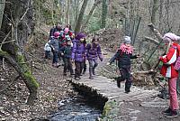IMG 7997