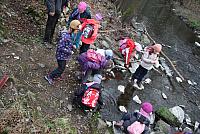 IMG 8007