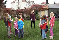IMG 7035