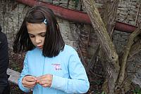 IMG 7311
