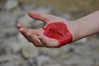 thumb DSC 1617 1024